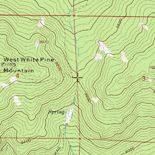 Topographic Map of White Pine Pass, CO