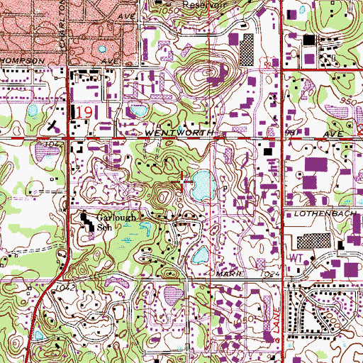 Topographic Map of Marthaler Park, MN