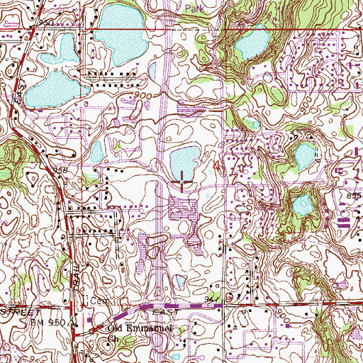 Topographic Map of Lions Park, MN