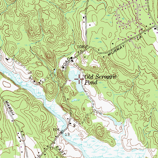 Topographic Map of Old Scroggie Pond, CT