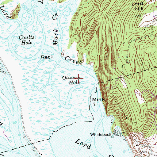 Topographic Map of Olivers Hole, CT
