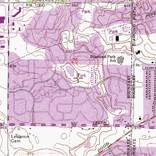 Topographic Map of Delaney Park, MN