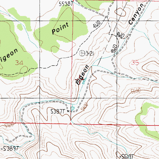 Topographic Map of Pigeon Tank, AZ