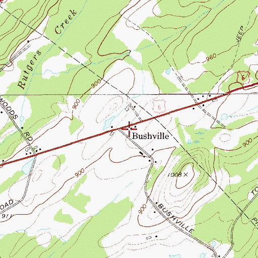 Topographic Map of Bushville School (historical), NY
