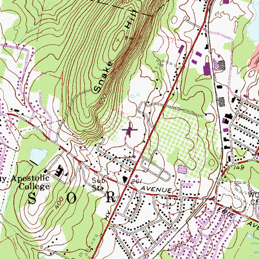 Topographic Map of Saint Joseph's Church, NY