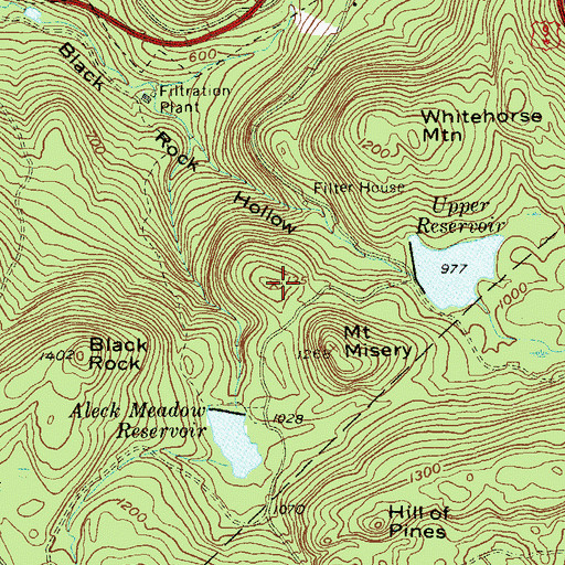 Topographic Map of Honey Hill, NY