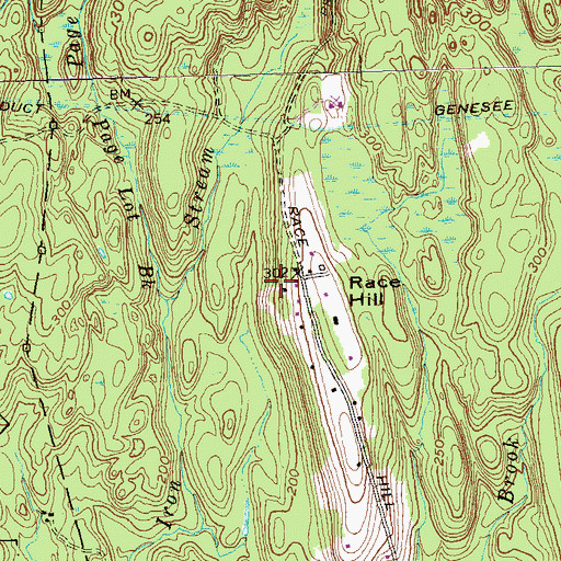Topographic Map of Page Lot Brook, CT