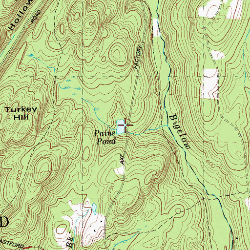 Topographic Map of Paine Pond, CT