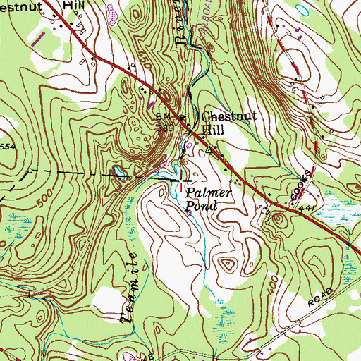 Topographic Map of Palmer Pond, CT