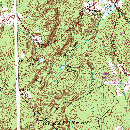 Topographic Map of Palmers Pond, CT