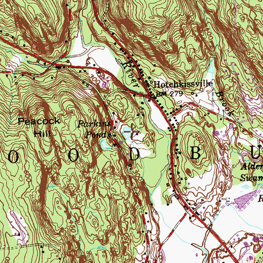 Topographic Map of Parkins Ponds, CT