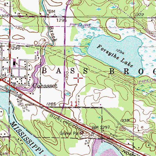 Topographic Map of Bass Brook Court, MN