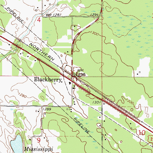 Topographic Map of Blackberry Post Office (historical), MN