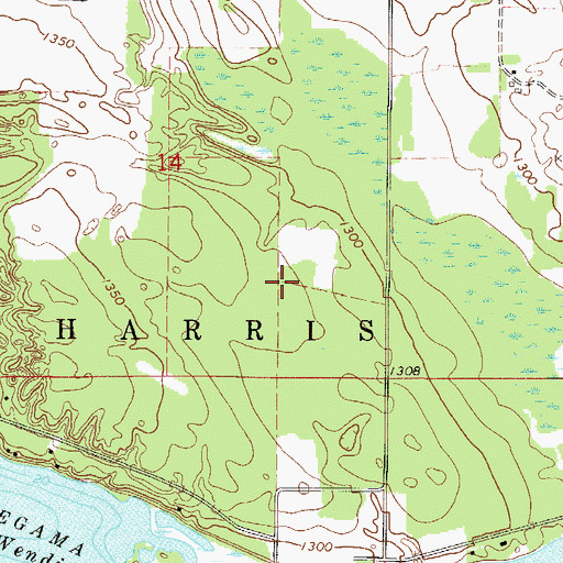 Topographic Map of Wendigo Golf Course, MN