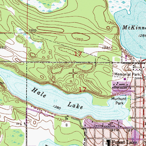 Topographic Map of American Legion Memorial Park, MN