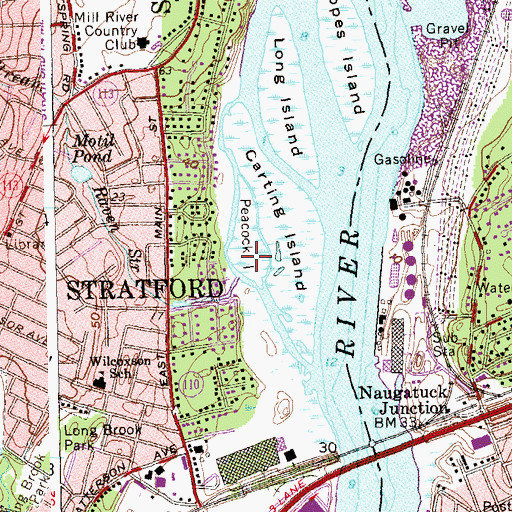 Topographic Map of Peacock Island, CT