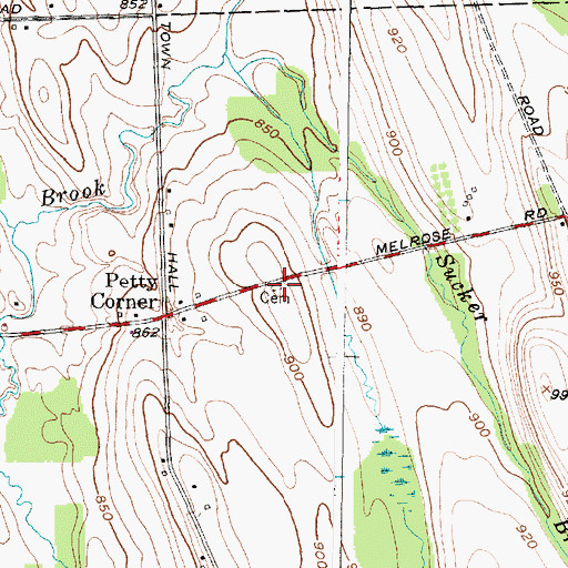 Topographic Map of Petty Cemetery, NY