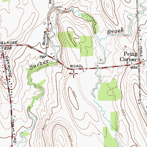 Topographic Map of School Number 4 (historical), NY