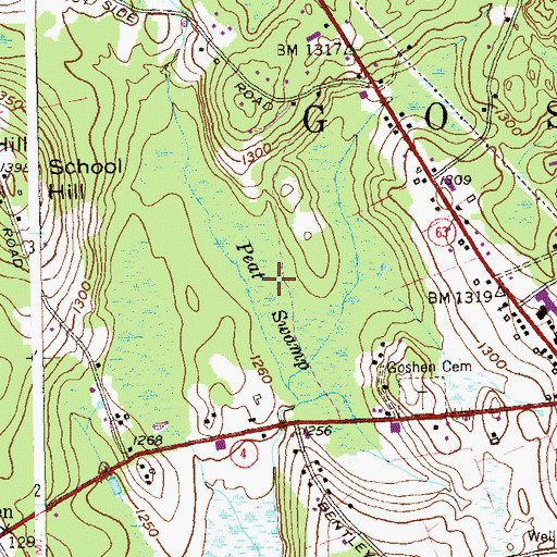 Topographic Map of Peat Swamp, CT