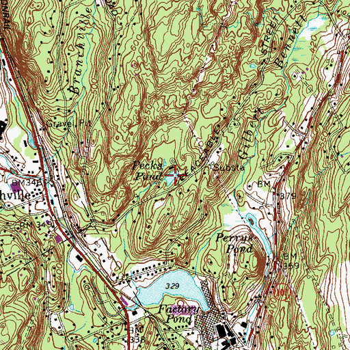 Topographic Map of Pecks Pond, CT