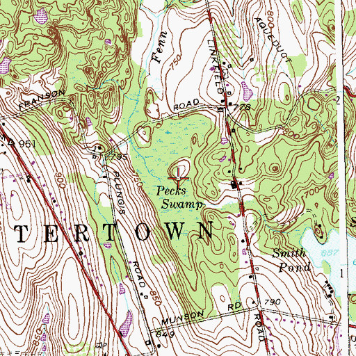 Topographic Map of Pecks Swamp, CT