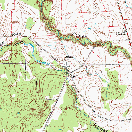 Topographic Map of School Number 4 (historical), NY