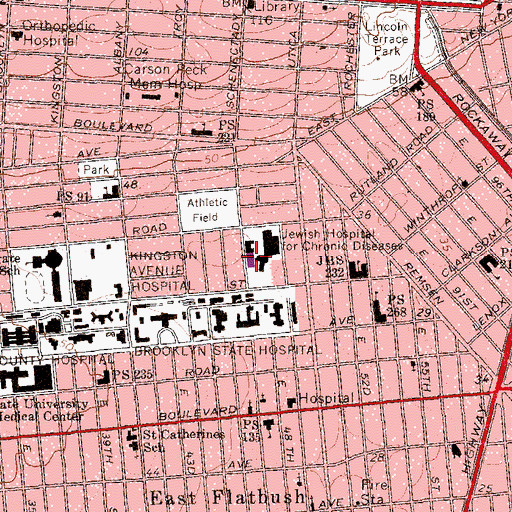 Topographic Map of David Minkin Rehabilitation Institute, NY