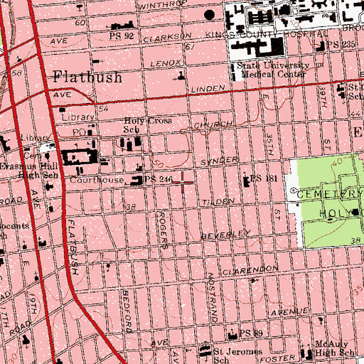 Topographic Map of Peniel Church, NY