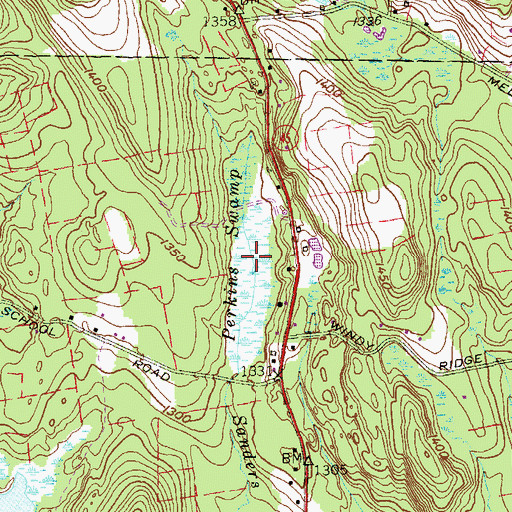 Topographic Map of Perkins Swamp, CT
