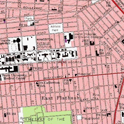 Topographic Map of Life Light Apostolic Church, NY