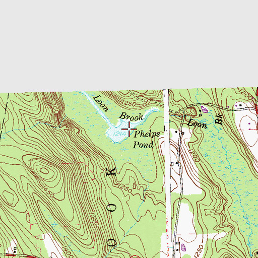 Topographic Map of Phelps Pond, CT