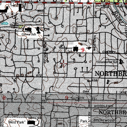Topographic Map of White Plains, IL
