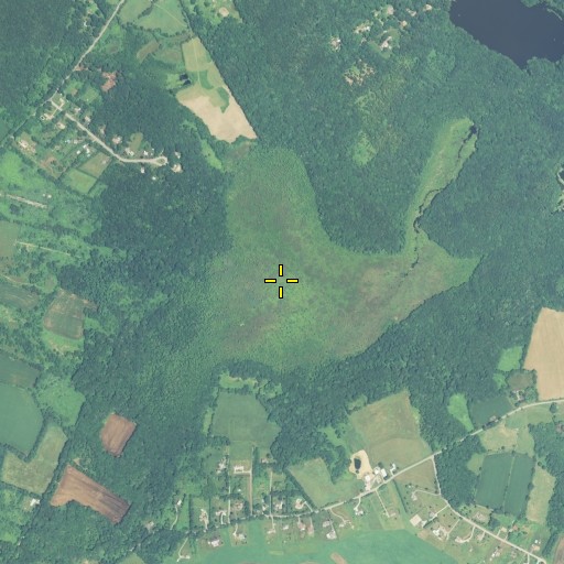 Aerial/Satellite Image of Pigeon Swamp, CT