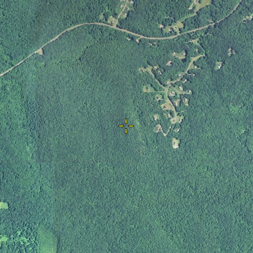 Aerial/Satellite Image of Pine Cone, CT