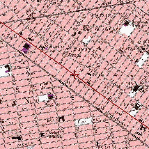 Topographic Map of Ridgewppd Masonic Temple, NY