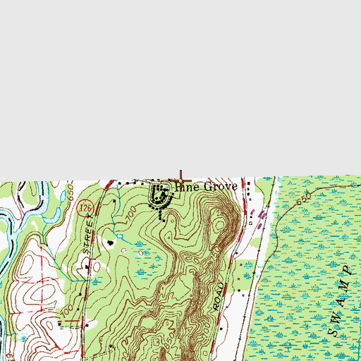 Topographic Map of Pine Grove, CT