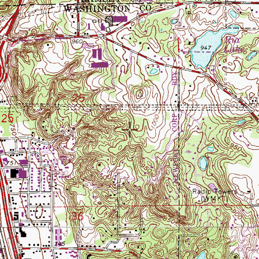 Topographic Map of Bailey School Forest Park, MN