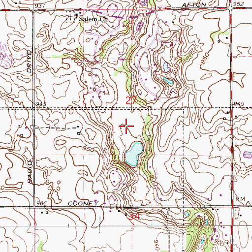 Topographic Map of Bailey Lake, MN