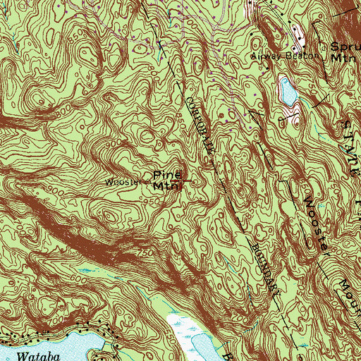 Topographic Map of Pine Mountain, CT