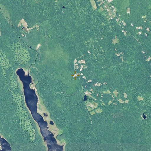 Aerial/Satellite Image of Pine Orchard Cemetery, CT