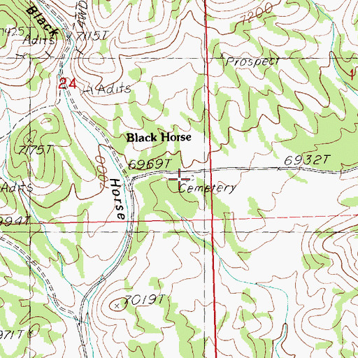 Topographic Map of Black Horse Cemetery, NV