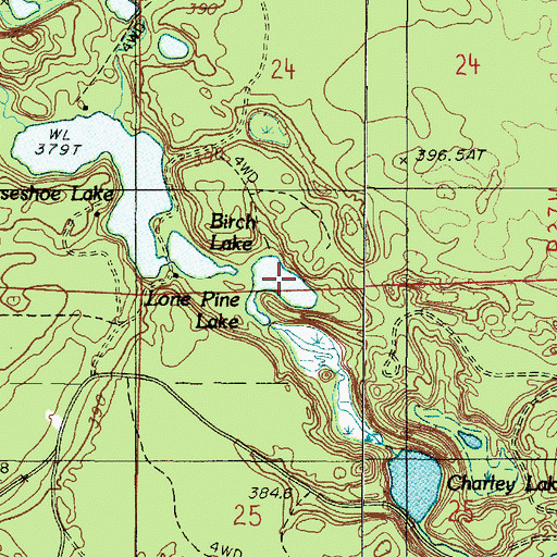 Topographic Map of Lone Pine Lake, MI