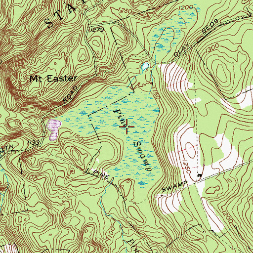 Topographic Map of Pine Swamp, CT