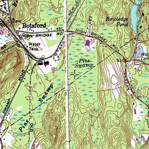 Topographic Map of Pine Swamp, CT