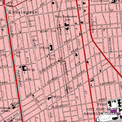 Topographic Map of Prospect Park Temple Issac, NY