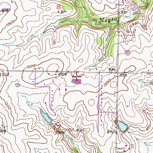 Topographic Map of Blue Valley High School, KS