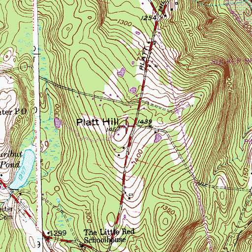 Topographic Map of Platt Hill, CT
