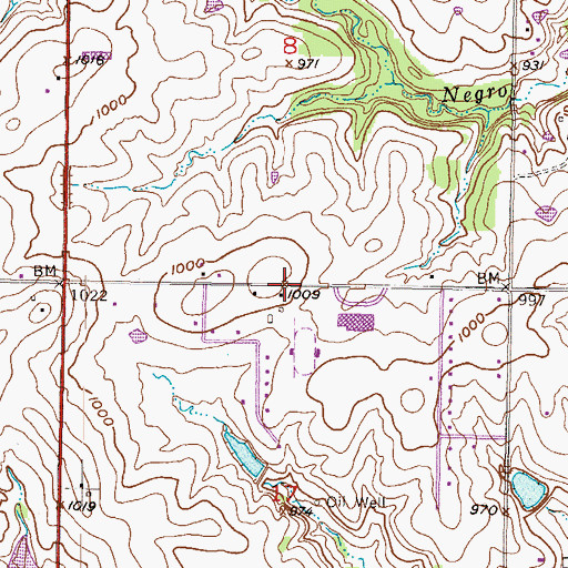 Topographic Map of Blue Valley Church of The Nazarene, KS