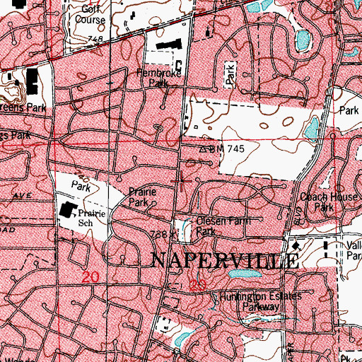 Topographic Map of Islamic Center of Naperville, IL