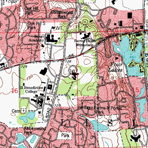 Topographic Map of Benet Academy, IL